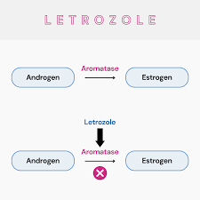 taking letrozole for fertility
