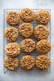 Soft & Chewy Oatmeal Scotchies - Sally's Baking Addiction