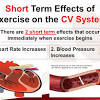 Affects of Physical Activity on the Heart Rate And Blood Pressure