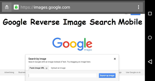 reverse image search on mobile phone