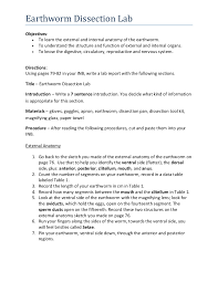    formal lab report example biology   Financial Statement Form SP ZOZ   ukowo