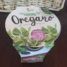 Buzzy Organic Oregano Garden Kit Seed