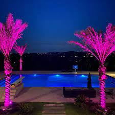 Outdoor Color Changing Led Lighting