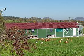 •to minimize effect of dampness. Egg Production Poultry Equipment Poultry Feeding Systems Big Dutchman