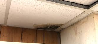 Water Damage On A Basement Ceiling Tile