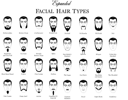 Movember Beard Styles Chartgeek Com