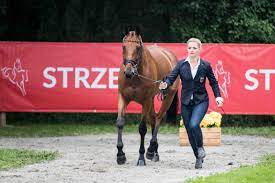 The german rider remained without a drop in the final jumping on monday. Julia Krajewski Akzeptiert Verwaltungsstrafe