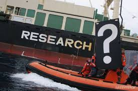 A Look Back At Whaling Photos and Images   Getty Images National Post     right  and the Japanese whaling ship No    Yushin Maru collide in the  waters of Antarctica in this Feb          photo  nstitute of Cetacean  Research