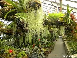 Botanical Gardens And Insectarium