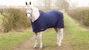 best show rugs for horses le