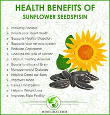 sunflower seeds health benefits