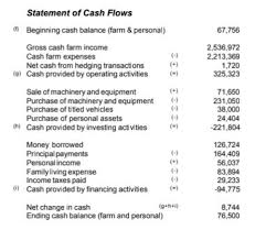 Statement Of Cash Flows Umn Extension
