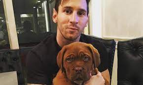 How old is messi dog. Lionel Messi And His Massive Beautiful Dogs Dogalize