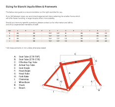 Bianchi Aquila Cv Ultegra Tt Triathlon Bike 2019