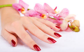 lee nails day spa