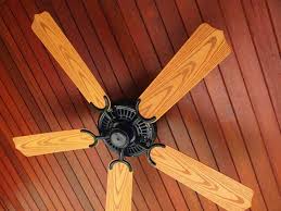 ceiling fan seasonal rotation