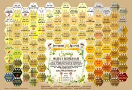Pollen And Nectar Chart Coladot