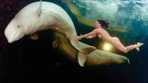Frau taucht mit beluga nackt