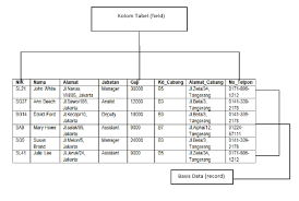 .efisiensi dari sebuah program type data dan struktur data  struktur data sederhana, misalnya linier : Memahami Struktur Database Tabel Dan Kolom Sql Adlinux