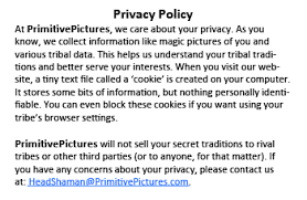 privacy policy definition exles