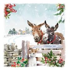 Check spelling or type a new query. Charity Christmas Cards To Help Horses And Donkeys