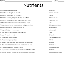 nutrients worksheet wordmint