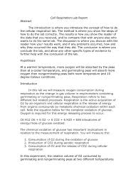 Chemistry Lab Report Abstract   Documents  Letters  Samples     