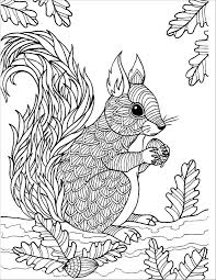 By regions or by organs systems. Squirrel Coloring Pages Coloringbay
