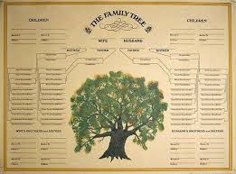 A Family Tree For The Stolen Generation Abc New England North West
