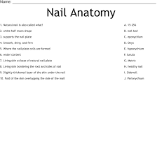 nail anatomy worksheet wordmint