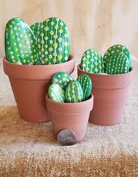 Painted Rock Cactus Cactus Plant Home