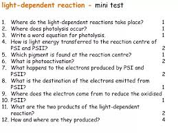 Ppt Light Dependent Reaction Mini