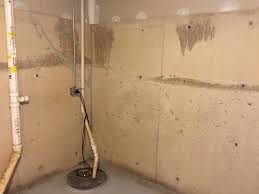 painting basement walls with mold and