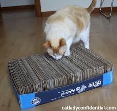 When you get to the end of it duct tape it to another strip of cardboard. How To Make A Cardboard Cat Scratcher Cat Lady Confidential