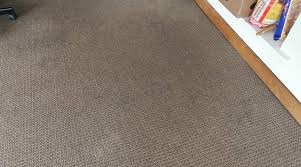 carpet cleaning harold s cross archives