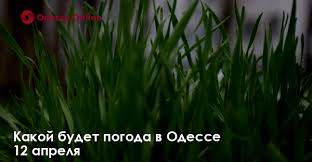 Восход солнца 05:37, заход солнца 20:30. Kakoj Budet Pogoda V Odesse 12 Aprelya Novosti Odessy Odessa Online 11 04 2021