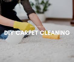 the harms of diy carpet cleaning van