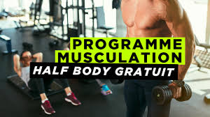 half body programme musculation 2 3