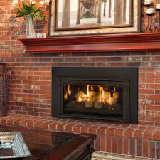 Gas Fireplace Inserts