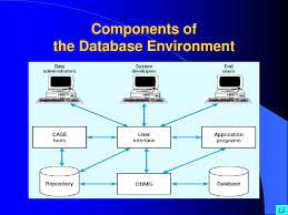 ppt the database environment