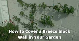 A Breeze Block Wall In Your Garden