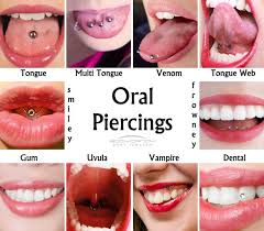 Names And Locations Of Oral Piercings I Like The Vampire