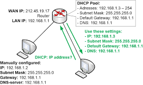 dhcp and manual ip address