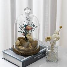 Glass Dome Bell Jar Cloche Display Case