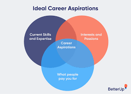 career aspirations how to describe