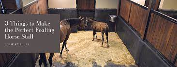 How To Make The Perfect Foaling Stall