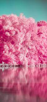 45 Pink Aesthetic Wallpaper Backgrounds ...