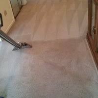 oliva carpet and rug cleaning laundry