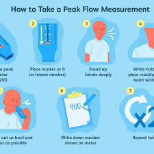 peak flow meter uses procedure results