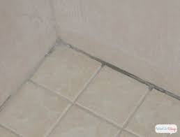Clean Mold And Mildew In The Bathroom